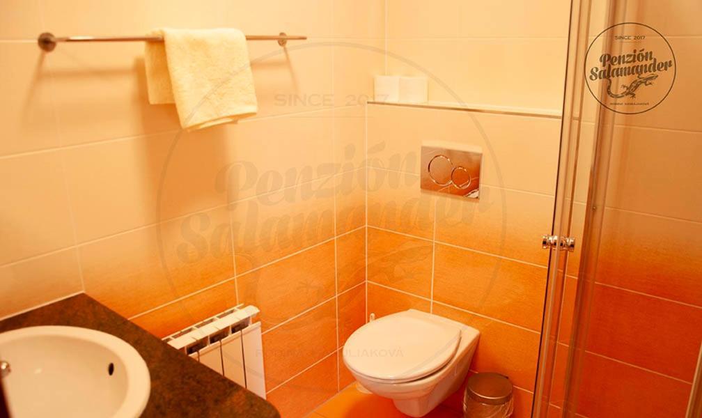 Penzion Salamander Terchova Bagian luar foto